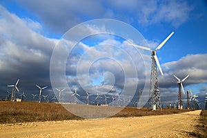 Wind mills during bright summer day