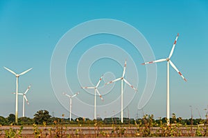 Wind mills during bright