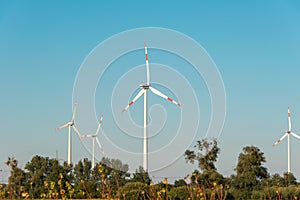 Wind mills during bright