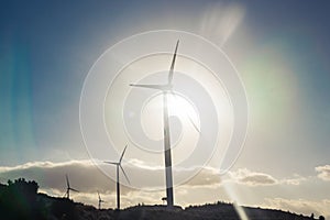 Wind mills during bright summer day