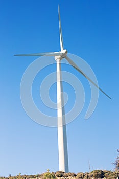 Wind mills during bright summer day