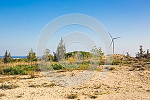 Wind mills during bright summer day