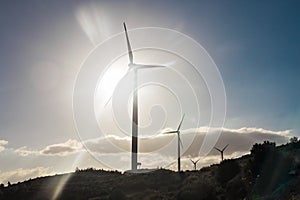 Wind mills during bright summer day