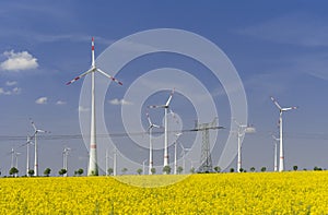 Wind mills with canola field and power line