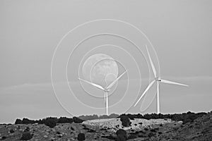 Wind mills catching the moon