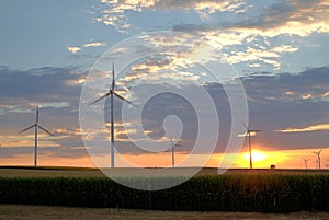 Wind mills field and the sunset, Austria