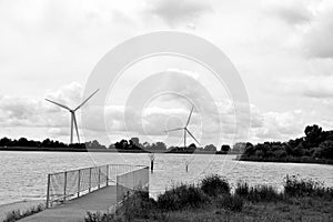 wind mills in mid Wales in UK