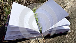 the wind moves the pages of a notebook lying outdoors in spring on old boards