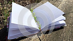 the wind moves the pages of a notebook lying outdoors in spring on old boards