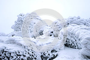 Wind painted Snow Texture Pattern on stone Background.
