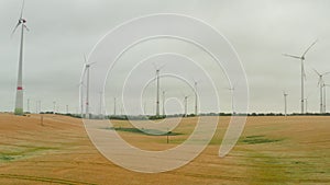 Wind park producing clean electricity. Low angle view of spinning wind turbines above grain field. Green energy, ecology