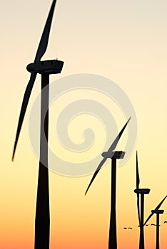 Wind park silhouettes at dawn