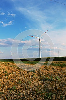 Wind park in the Vojvodina plains