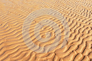 Wind patterns on the beach. Natural background of sand in ripple wave pattern.