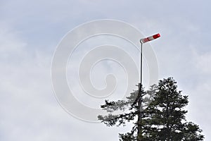 Wind pointer mounted on the top of a large spruce tree, against the background of the sky with clouds.