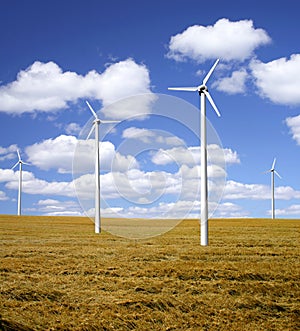Wind power farm on a field
