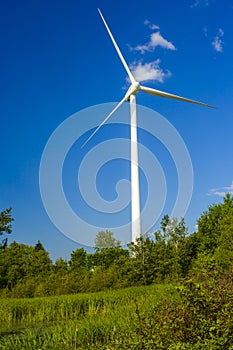 Wind power generating stations in the park