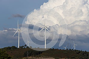 Wind power generator