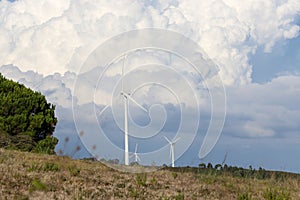 Wind power generator