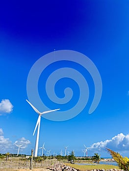 Wind power and kite flying