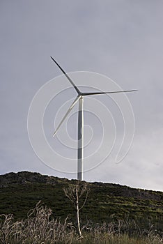 Wind power mills in the mountains of portugal