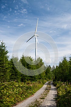 Wind power plant in the forest