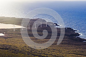 Wind power plant on the ocean shore.