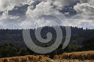 Wind-power plant in rural landscape