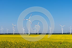 Wind power plants in a blooming rapeseed field