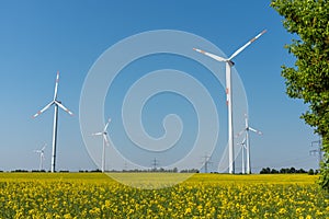 Wind power plants in a field of blooming oilseed