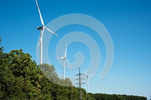 Wind power plants and trees