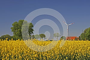 Wind power station with field in Germany