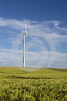 Wind power station in fields