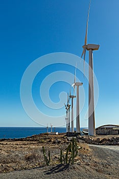 Wind power stations. A row of turbines near the seashore. Wind farm eco field. Eolic park with blue sky in background. Green,