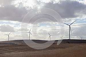 Wind Power Turbine Grid On Agricultural Farmland