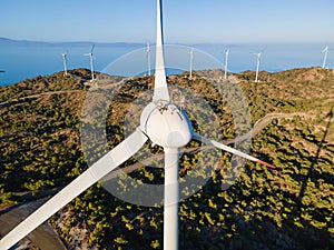 Wind power turbines generating clean renewable energy