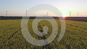 Wind-Powered Electrical Generators at Rapeseed Field. Aerial view