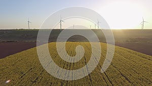 Wind-Powered Electrical Generators at Rapeseed Field. Aerial view