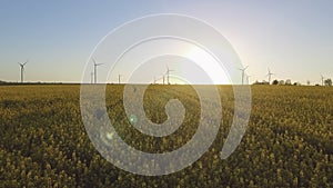 Wind-Powered Electrical Generators at Rapeseed Field. Aerial view