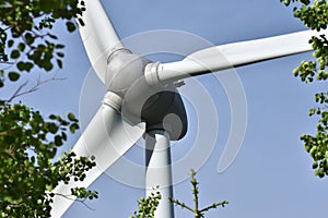 Wind Powered Turbine Generator