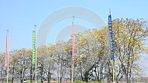 Wind with Prayer flags or Tung Flag of Lanna at northern of Thailand