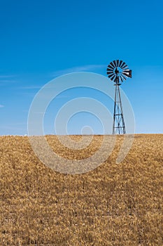 Wind Pump in a Wheat Field