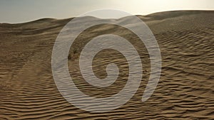 Wind and sand dunes in desert