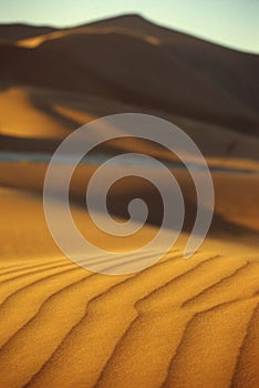 Wind and sand waves in Namib desert