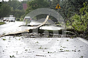 Wind Storm Damage