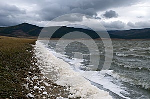 Wind swept landscape with spume along water`s edge