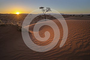 Wind swept patterns on red sand dune at sunet