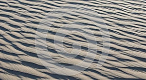 Wind-swept sand forms ripples across a