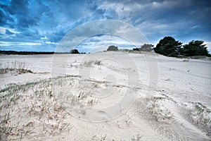 Wind texture on sand dunes