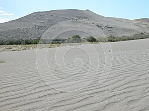 Wind Tracks in Sand